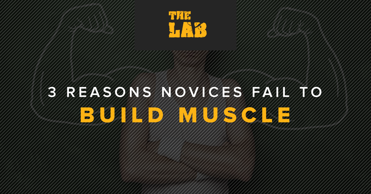 3 Reasons Novice Fail to Build Muscle